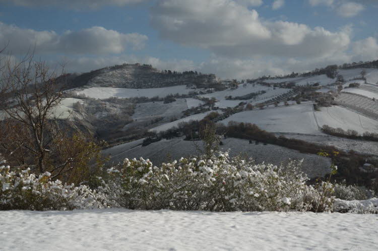 Blick nach Osten im Januar